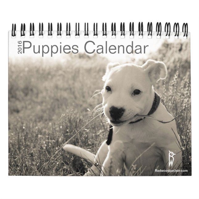 Calendário bonito 2016 dos filhotes de cachorro (Capa)
