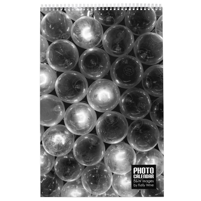 Calendário bonito da foto de B&W - vinho de Kelly (Capa)