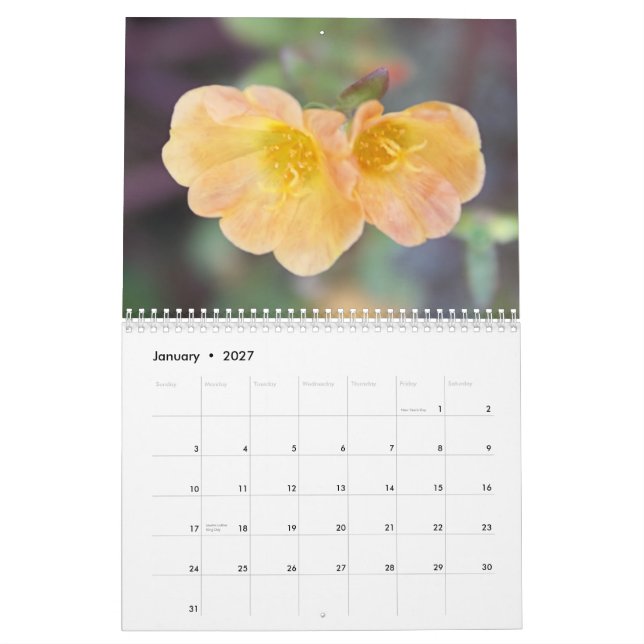 calendário bonito da fotografia de 2013 flores (Jan 2027)