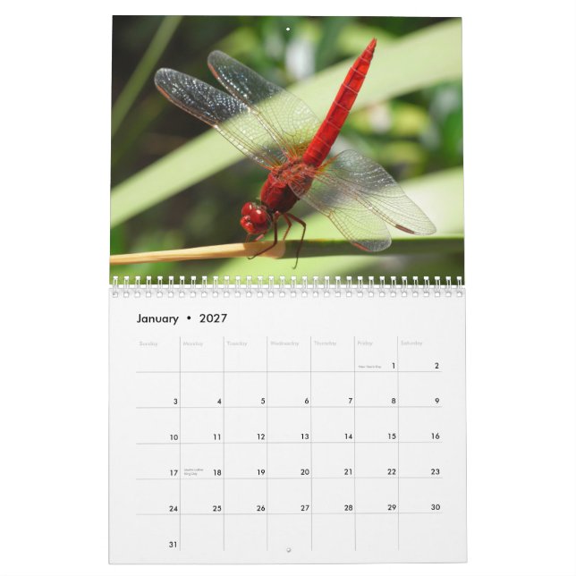 Calendário bonito das libélulas (Jan 2027)