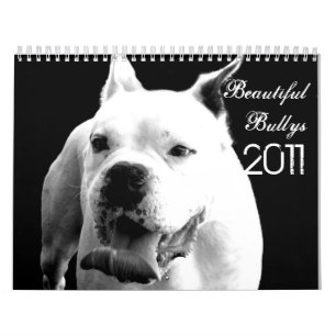 Calendário bonito do cão de Bullys 2011