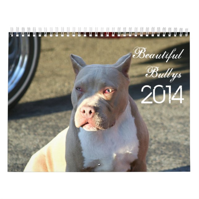 Calendário bonito do cão de Bullys 2014 (Capa)