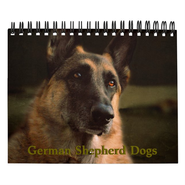 Calendário bonito do cão de german shepherd (Capa)