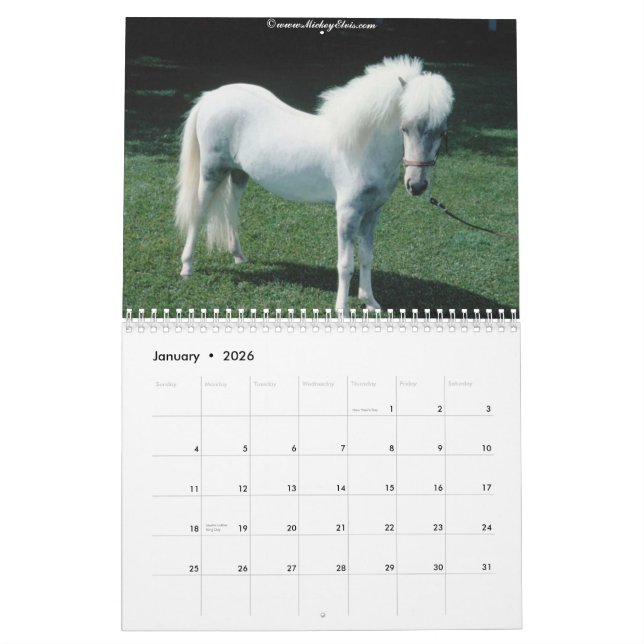 Calendário bonito do cavalo 2010 (Jan 2026)