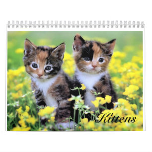 Calendário bonito do gatinho