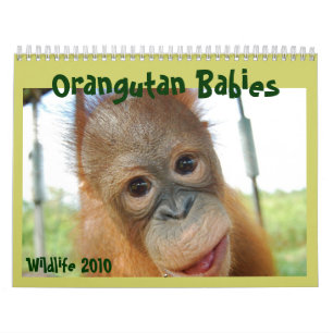 Calendário bonito dos bebês dos animais selvagen