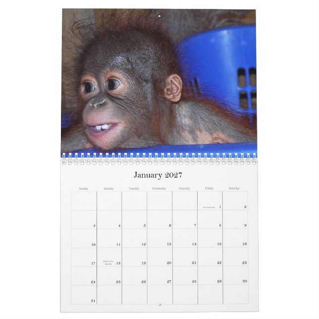 Calendário bonito dos bebês dos animais selvagens (Jan 2027)