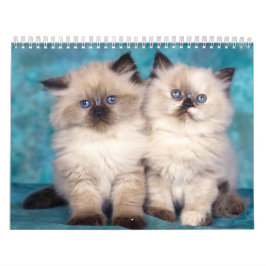Calendário bonito dos gatinhos
