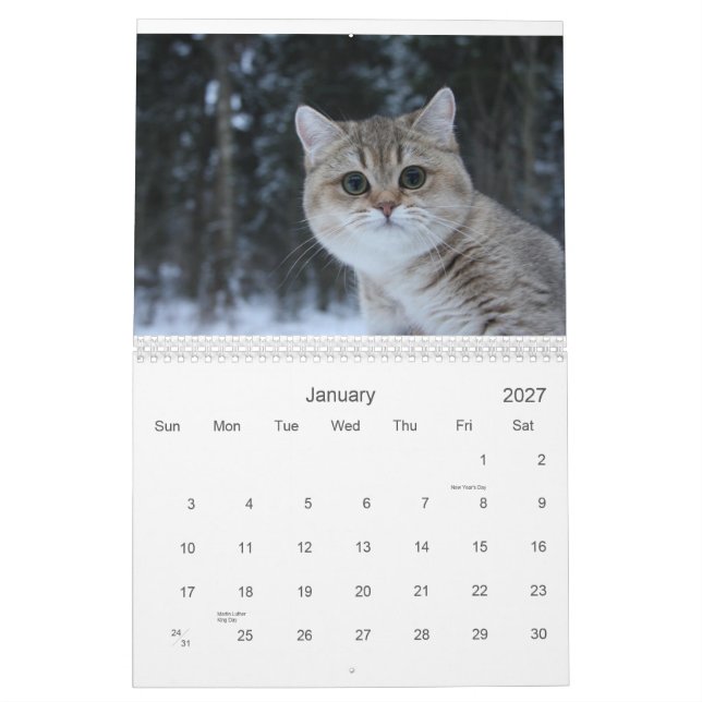 Calendário bonito dos gatinhos 2012 (Jan 2027)