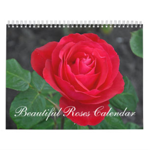 Calendário bonito dos rosas