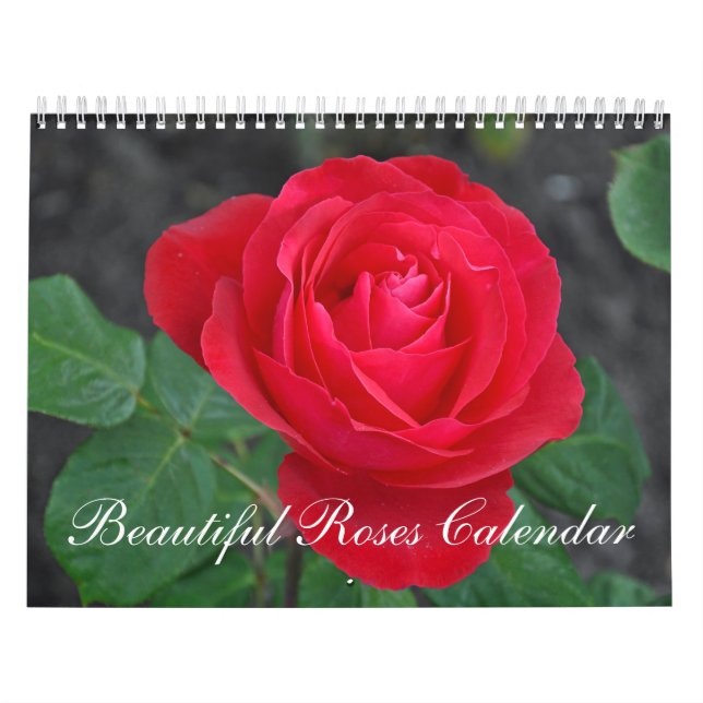 Calendário bonito dos rosas (Capa)