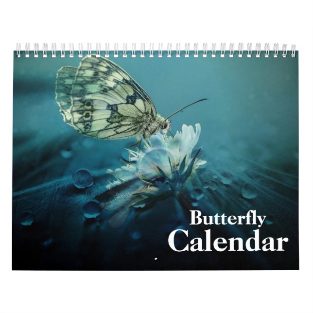Calendário Borboleta 2025 (Capa)