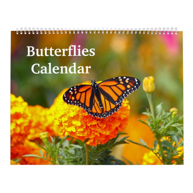 Calendário Borboletas (Capa)