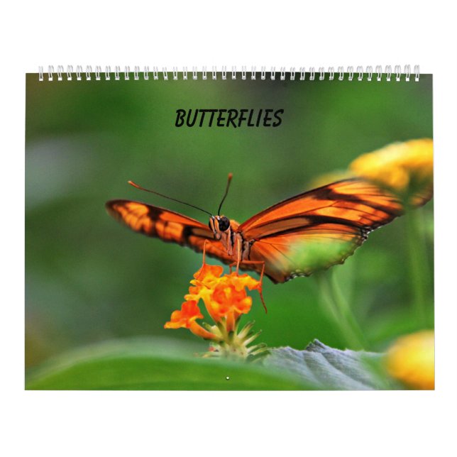 Calendário Borboletas (Capa)