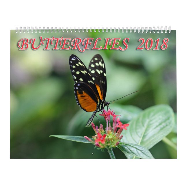 Calendário Borboletas 2018 (Capa)