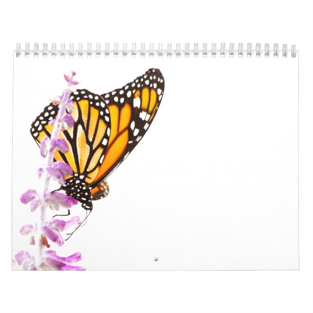 Calendário Borboletas bonitas (Capa)