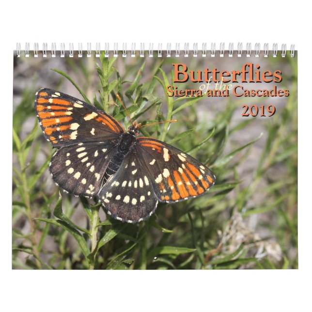 Calendário Borboletas da serra e das cascatas (Capa)