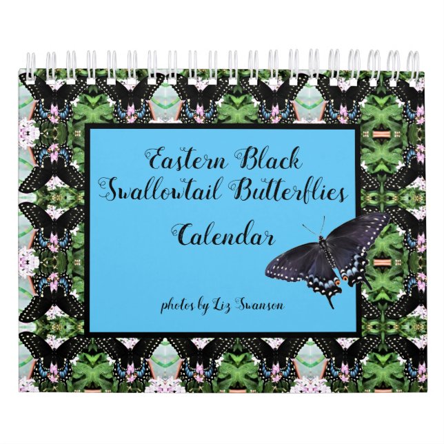 Calendário - Borboletas do Swallowtail Negro Orien (Capa)