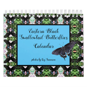 Calendário - Borboletas do Swallowtail Preto Orie
