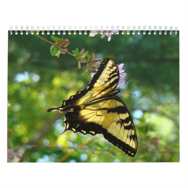 Calendário Borboletas e flores (Capa)
