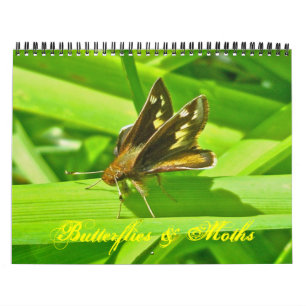 Calendário - Borboletas e mariposas