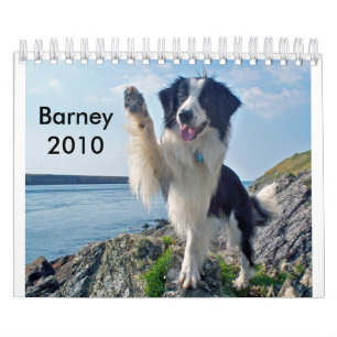 Calendário Border collie 2010