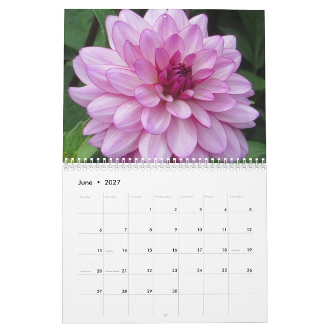 Calendário Botânico de Dahlias Colorida Elegante (Jun 2027)