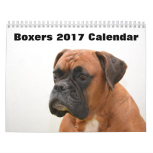 Calendário Boxers Dogs 2017