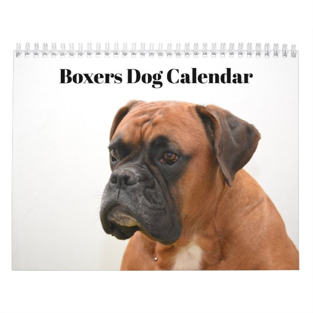 Calendário Boxers Dogs 2020 (Capa)