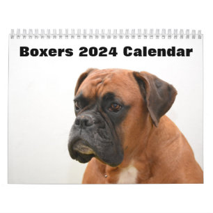 Calendário Boxers Dogs 2024