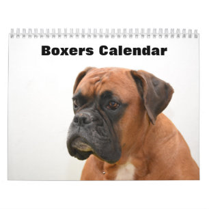 Calendário Boxers Dogs 2025
