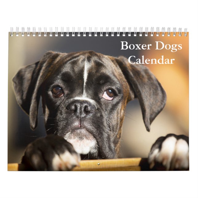 Calendário Boxers Dogs 2025 (Capa)