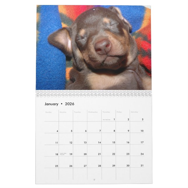 Calendário branco do Doberman (Jan 2026)