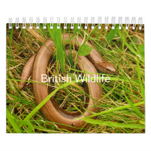 Calendário britânico dos animais selvagens