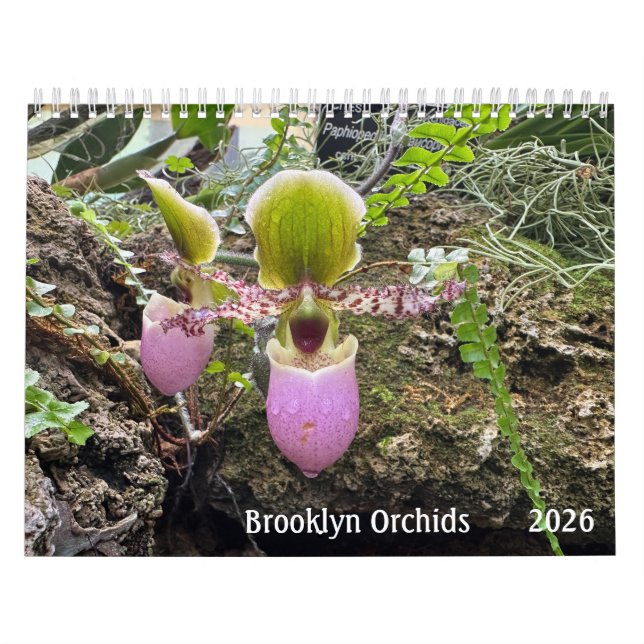 Calendário Brooklyn Orchids 2026 Calendar (Capa)