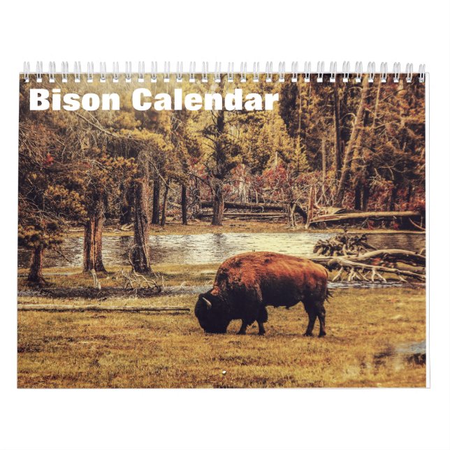 Calendário Búfalo Bison 2027 (Capa)