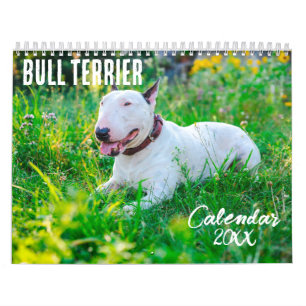 Calendário Bull Terrier 2025