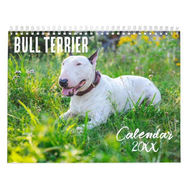 Calendário Bull Terrier 2026 (Capa)