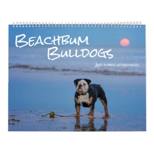 Calendário Bulldogs de Beachbum e outras aventuras