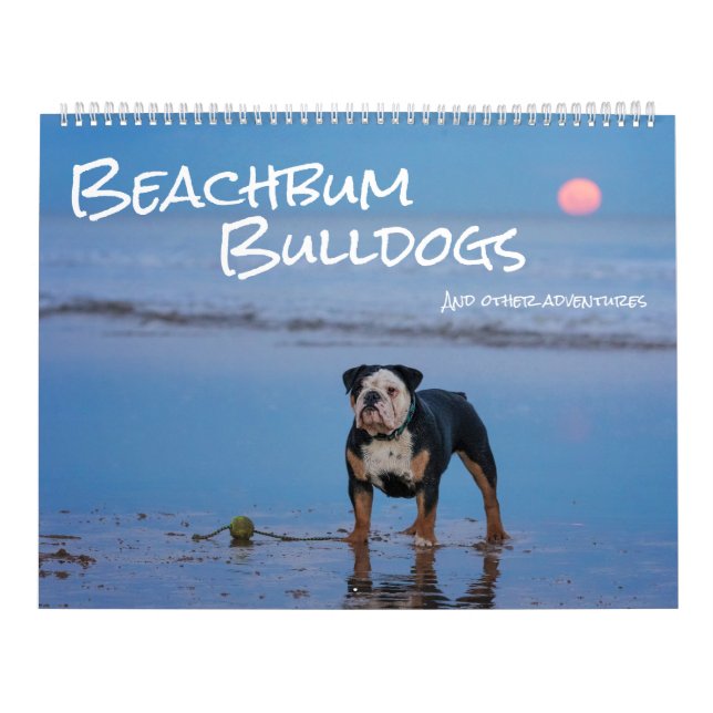 Calendário Bulldogs de Beachbum e outras aventuras (Capa)