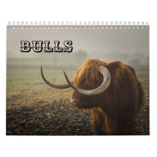 Calendário Bulls