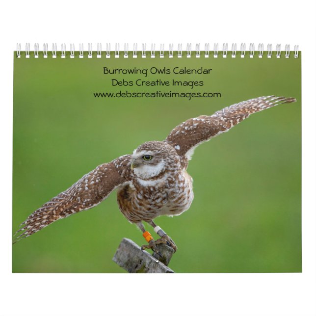 Calendário Burrowing Owl 2026 (Capa)