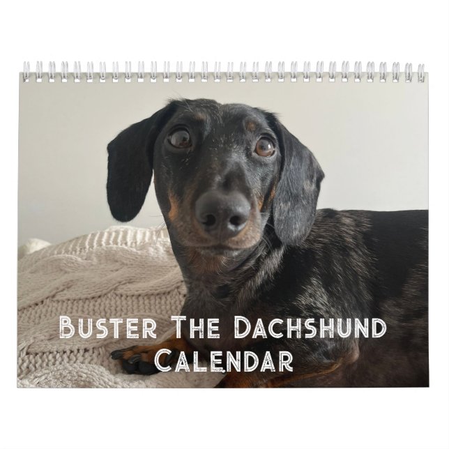 Calendário Buster o Dachshund (Capa)