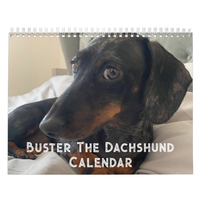 Calendário Buster, o Dachshund (Capa)