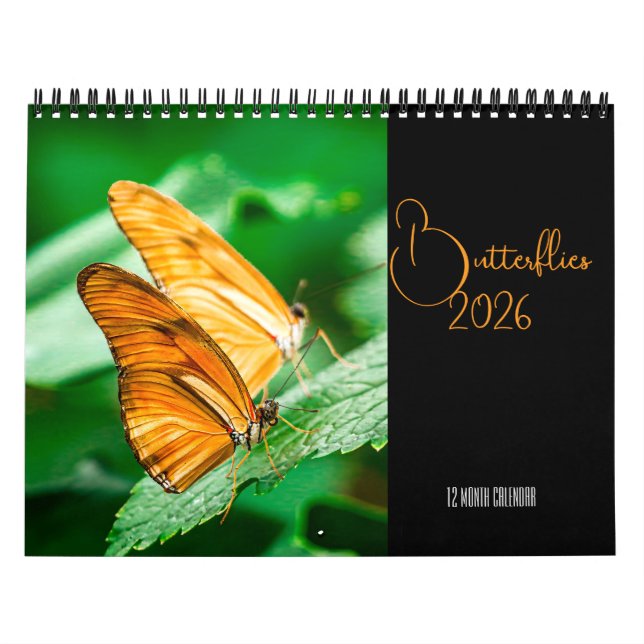 Calendário Butterflies  12 Month Wall Calendar 2026 (Capa)