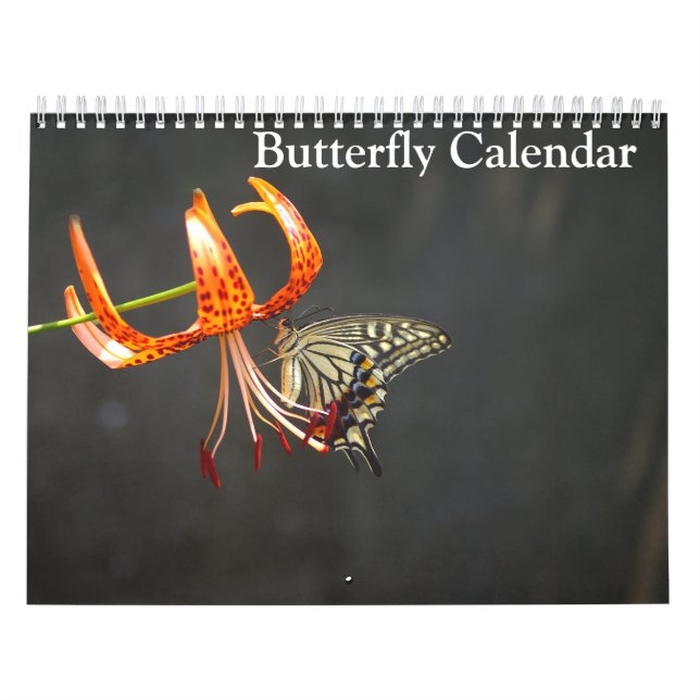 Calendário Butterflies 2025 (Capa)