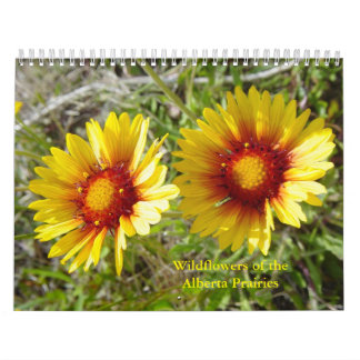 Calendário C12 Flores Silvestres das Pradarias de Alberta