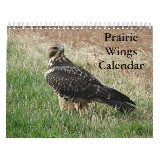Calendário C7 Prairie Wings (Capa)