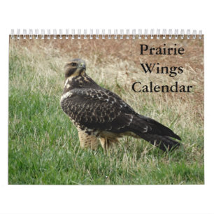 Calendário C7 Prairie Wings