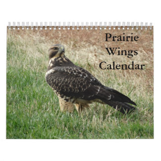 Calendário C7 Prairie Wings